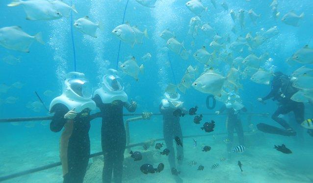 两会深观察 | 海南数字经济如何发展壮大？各界政协委员热议支招